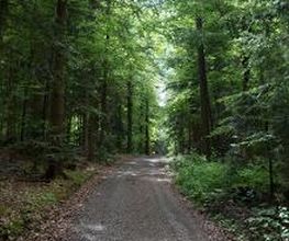 Camping Erbenwald Bild 6