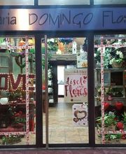 FLORISTERÍA-DOMINGO-TINEO.jpg
