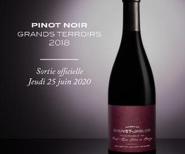 Domaine Bouvet-Jabloir - Auvernier - Neuchâtel Bild 20