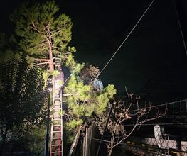 Jardines_La_Sierra_Moralzarzal_Jardineros_Podas_Cesped_Tejados_Canalones_4.jpeg