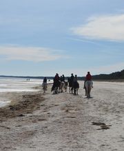 Reiterhof Daugzin C. Edel & E. Berkhahn GbR Bild 9