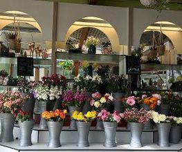 Blumen Haider Bild 5