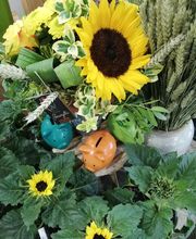 Amarillys Vernisse Fleurs image 3