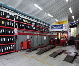 Gallery Cliente