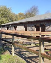 Ferienwohnung Reitanlage Bärenz Bild 4