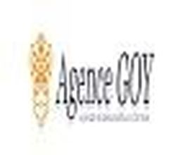 Agence Goy image 2