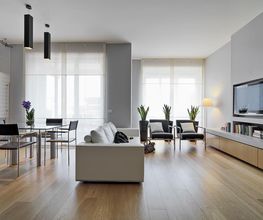 DS Pro Unit imagen 3