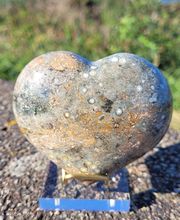 Coralie Shop image 20