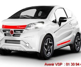 Voiture Sans Permis image 3