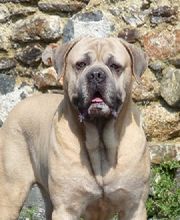 Des Terres de la Gâtine image 2