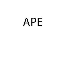 Ape Srl logo