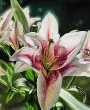 Gallery 1261 image 20