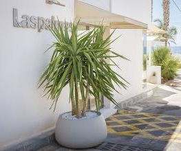 Hotel Las Palmas imagen 3
