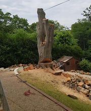 Entreprise Lecoq image 15