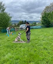 4happypets.ch, Inhaberin Schön Bild 5