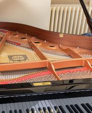 Monnier Pianos image 15
