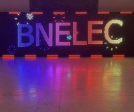 Bnelec image 12