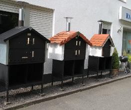 Ramster Holzbackofen und Grills Bild 19