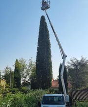 L'ecrin Vert image 4