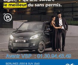 Voiture Sans Permis image 15