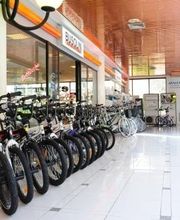 Gallery Cliente