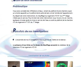 France detection image 11