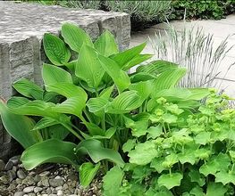 Huber Gartenbau AG Bild 2