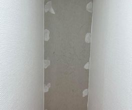 L2M image 7