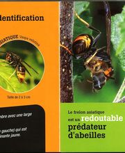 MONSIEUR DELOUIS CHRISTOPHE image 2