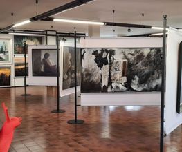 Gallery Cliente