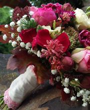 Blumenhaus Wasser Bild 2