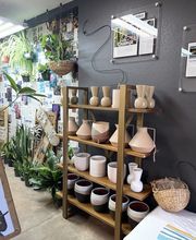 Dig It Gardens image 15