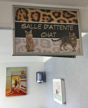 Duvivier Sophie image 14