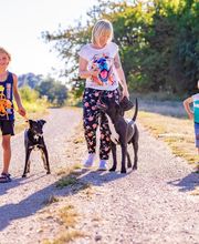 Glückliche Hundepfoten by Catrin Hendl-viel mehr als nur Hundetraining Bild 4