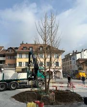 ELLEXA Sàrl Bild 12