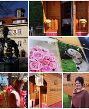 Sylvia Schlegelmilch Bild 13