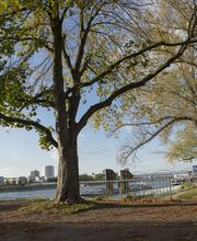 Praxis Allard Bild 5