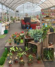 Dessapt Horticulture image 5