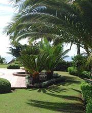 Fantastic Gardens imagen 9