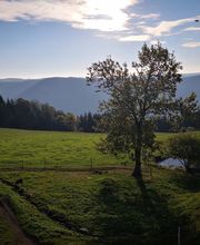 Ferienparadies Althäuslehof Bild 9