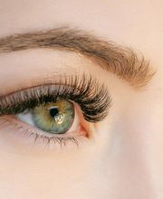 Wimpern