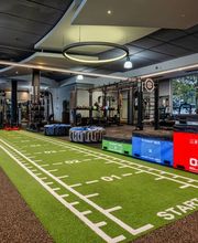 David Lloyd Turó imagen 4