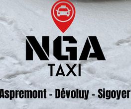 NGA Taxi image 6