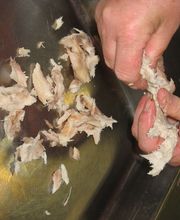 Schot Kwaliteits Vishandel - A Quist