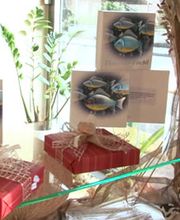 Felder Markus Bild 1