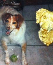 Atelier Previtera Création image 8