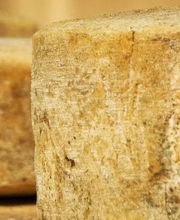 Barranco Especialitats, S.L. imagen 3