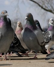 HPL3D Services image 3