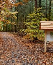 Eine Informationstafel am Eingang zum FriedWald Kamenz weist auf den besonderen Ort der letzten Ruhe mitten in der Natur hin. 