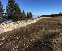 Dubois - Cuche Bild 7
